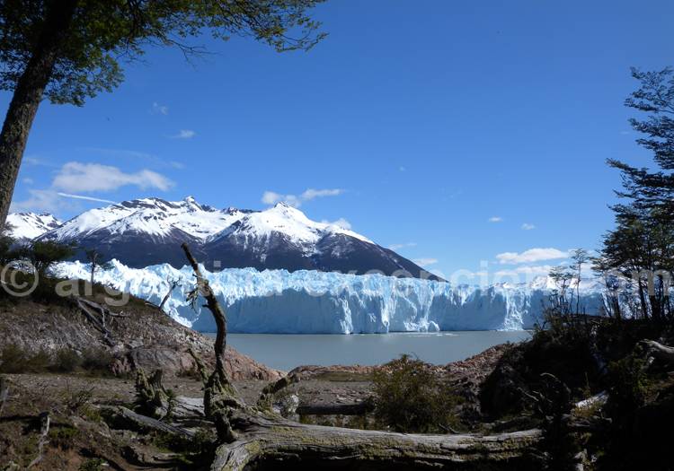 Marche en forêt pour attendre le glacier Perito Moreno Marche en forêt pour attendre le glacier Perito Moreno
