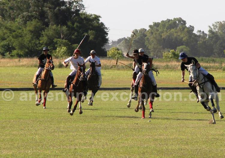 Tournois de polo Tournois de polo