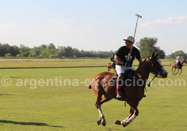 Un joueur de polo en pleine action Un joueur de polo en pleine action