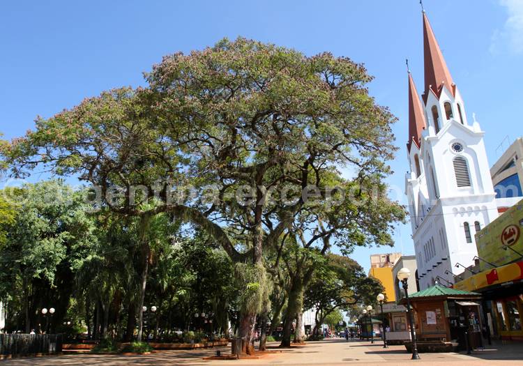 Cathédrale San José, Posadas, Misiones Cathédrale San José, Posadas, Misiones