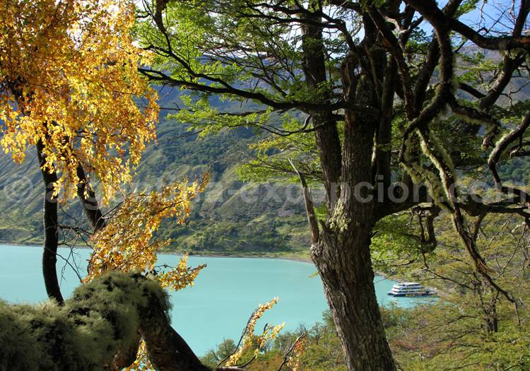 Vue sur la baie de las Vacas, lac Argentino Vue sur la baie de las Vacas, lac Argentino