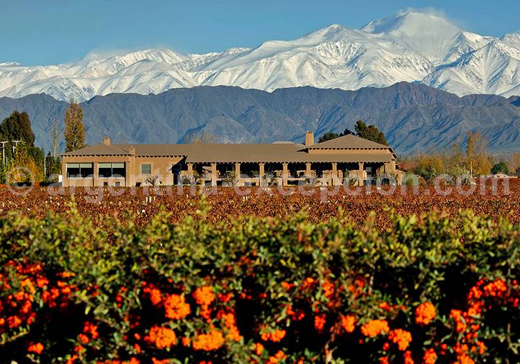 Province et ville de Mendoza (Bodega Vistalba) Province et ville de Mendoza