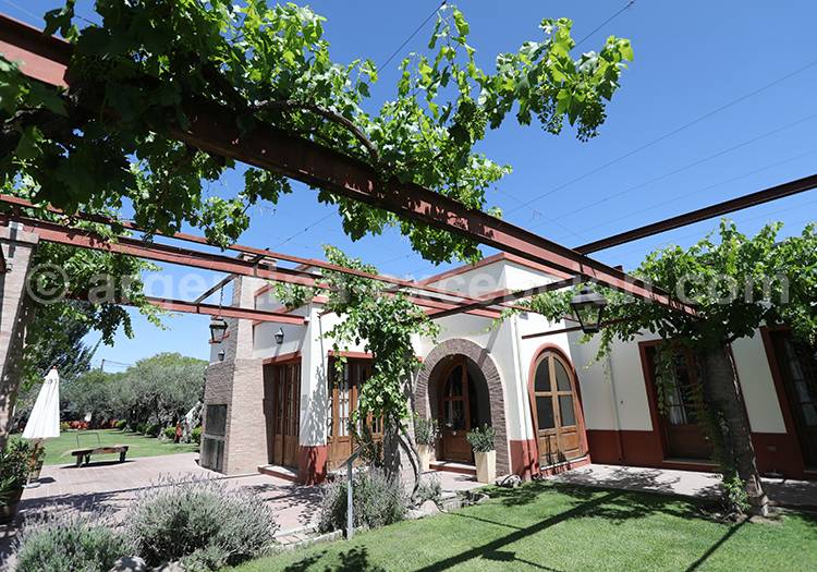 Visiter la bodega Altavista, Luján de Cuyo, Argentine avec l'agence de voyage Argentine Excepción Visiter la bodega Altavista, Luján de Cuyo, Argentine avec l'agence de voyage Argentine Excepción