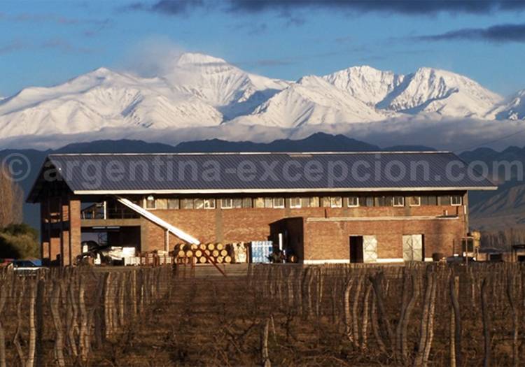 Visiter la bodega Achaval Ferrer, Luján de Cuyo, Argentine avec l'agence de voyage Argentina Excepción Visiter la bodega Achaval Ferrer, Luján de Cuyo, Argentine avec l'agence de voyage Argentina Excepción