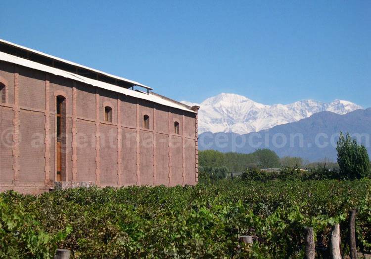 Visiter la bodega Benegas, Luján de Cuyo, Argentine avec l'agence de voyage Argentina Excepción Visiter la bodega Benegas, Luján de Cuyo, Argentine avec l'agence de voyage Argentina Excepción