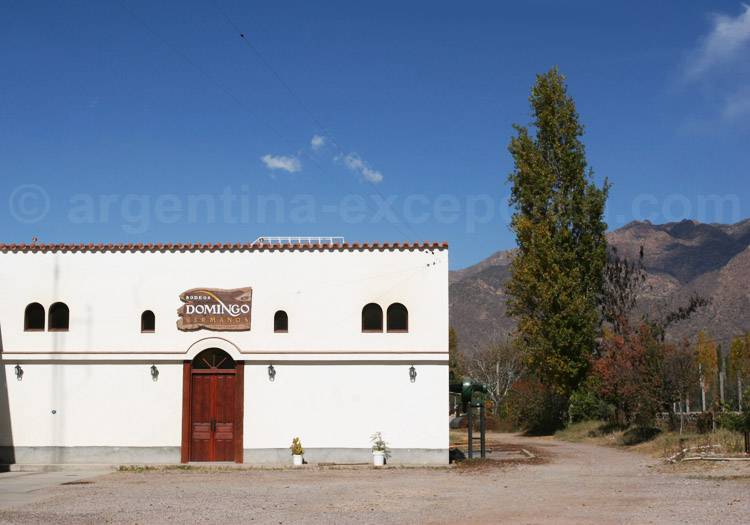 Visiter la bodega Domingo Hermanos, Cafayate, Argentine avec l'agence de voyage Argentina Excepción Visiter la bodega Domingo Hermanos, Cafayate, Argentine avec l'agence de voyage Argentina Excepción