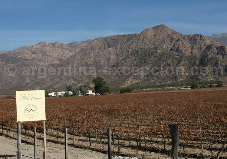 Visiter la bodega Felix Lavaque, Cafayate, Argentine avec l'agence de voyage Argentina Excepción Visiter la bodega Felix Lavaque, Cafayate, Argentine avec l'agence de voyage Argentina Excepción