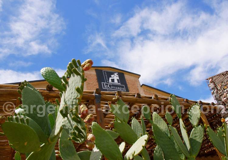 Visiter la bodega La Guarda, San Juan, Argentine avec l'agence de voyage Argentina Excepción Visiter la bodega La Guarda, San Juan, Argentine avec l'agence de voyage Argentina Excepción