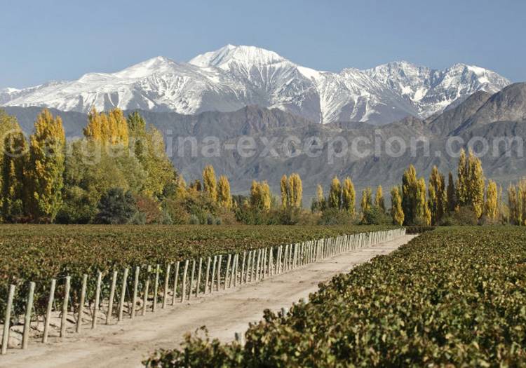 Visiter la bodega Terrazas Andes, Luján de Cuyo, Argentine Visiter la bodega Terrazas Andes, Luján de Cuyo, Argentine