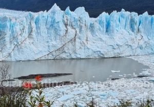 Voyage à El Calafate Voyage à El Calafate