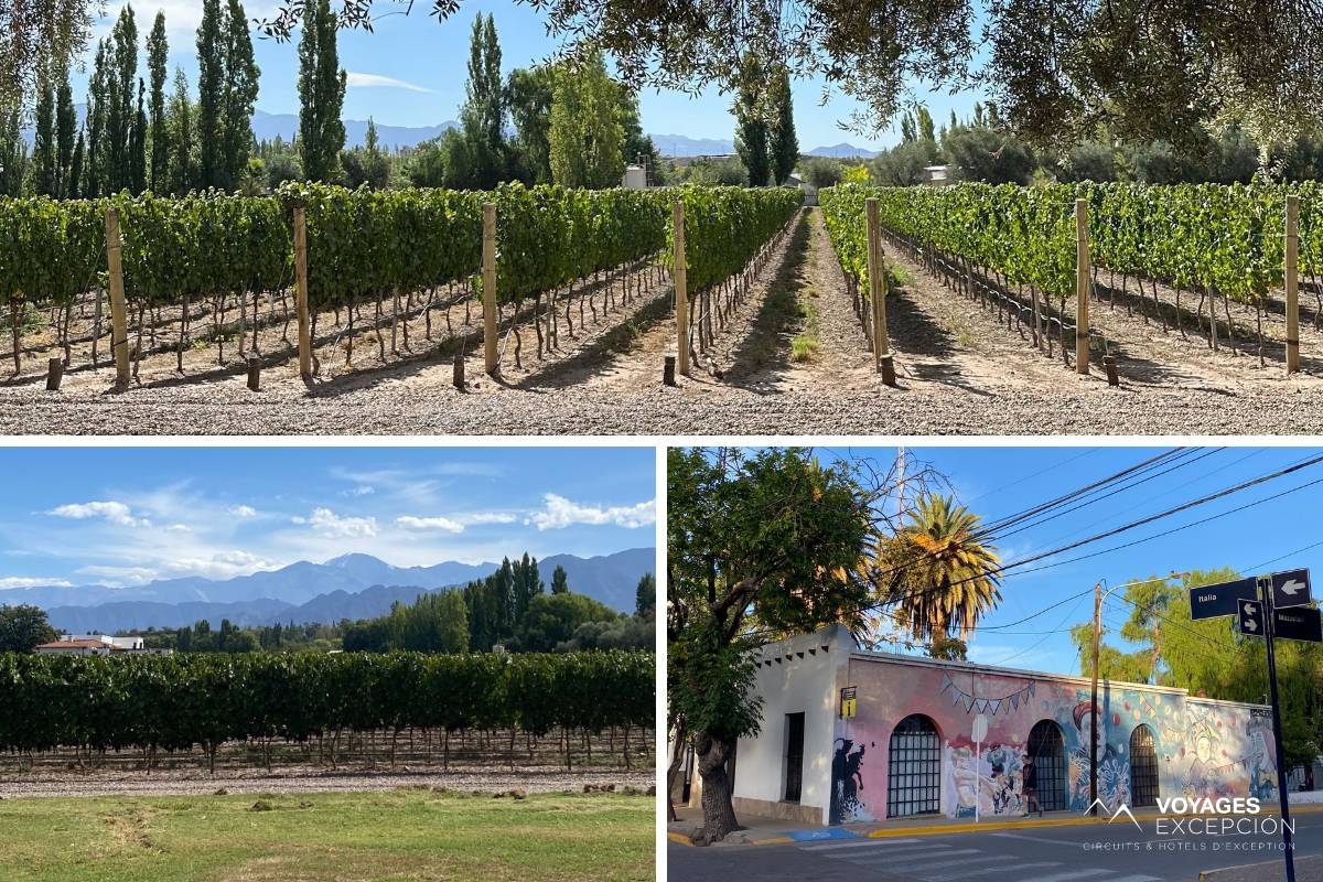 Visite des bodegas et vignes de la région de Mendoza Visite des bodegas et vignes de la région de Mendoza