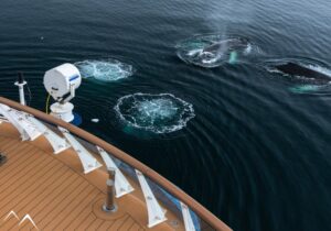 Bâteau Ocean Victory, croisière en Antarctique, Argentine (3)
