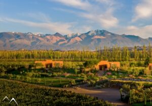 Vignes et cordillère des Andes à l'Atamisque Wine Lodge, Mendoza