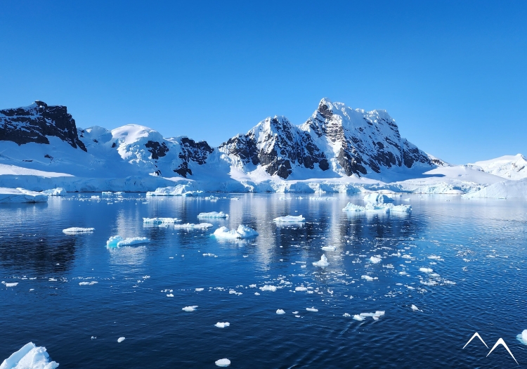 Croisière faune, Antarctique Croisière faune, Antarctique