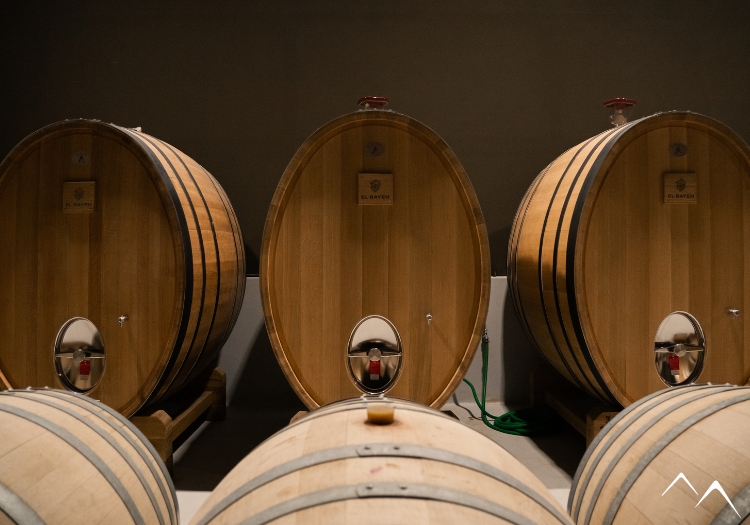Visiter la Bodega El Bayeh, Humahuaca, avec Argentina Excepción Visiter la Bodega El Bayeh, Humahuaca, avec Argentina Excepción