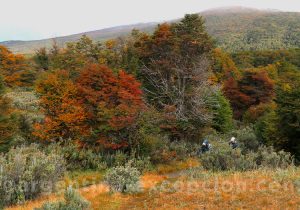 Balade dans le parc national