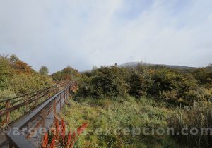 Balade dans le parc national Terre de Feu