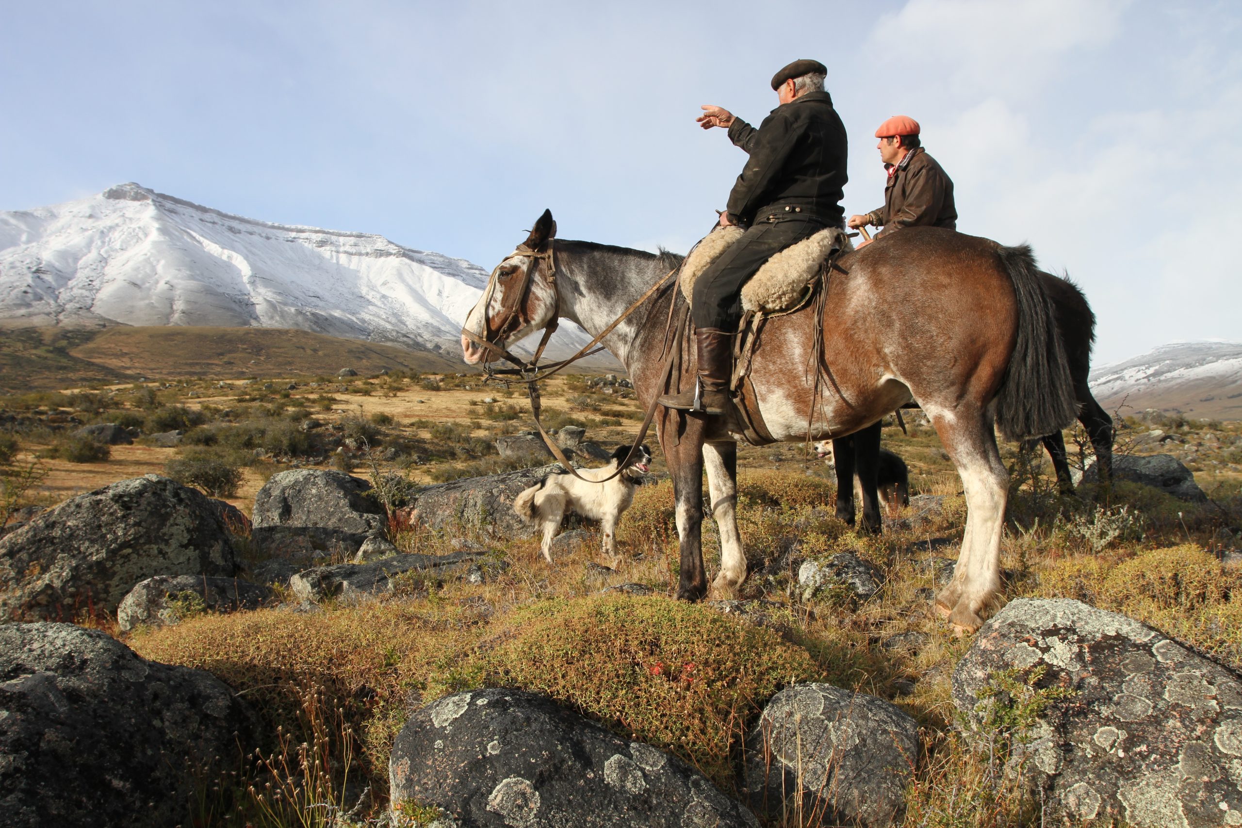 El Calafate - estancia Alta Vista