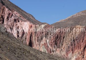 IMG_3815 Promenade Montagne des Sept Couleurs à Purmamarca
