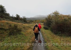 Marche Paseo de la Isla