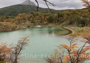 Nature du parc nationale Terre de Feu