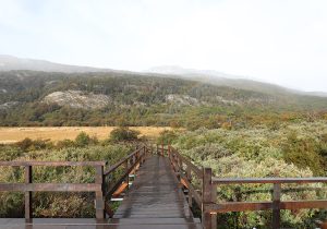 Ponton parc national Terre de Feu