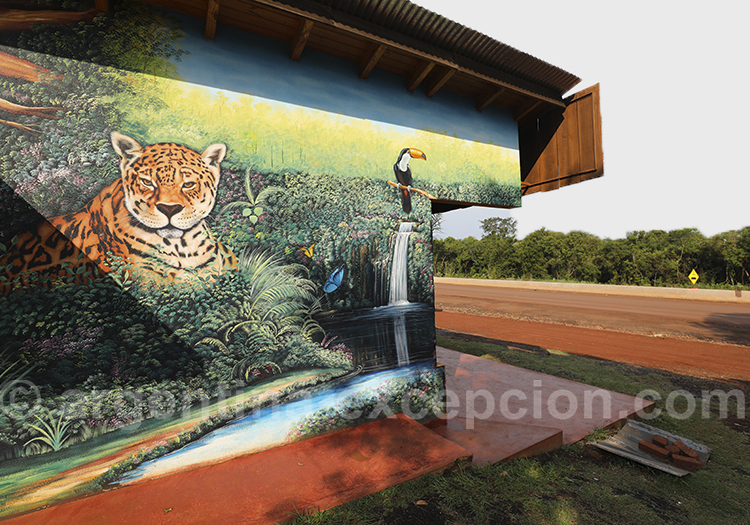 Province de Misiones en Argentine Province de Misiones en Argentine