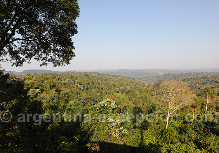 Réserve de Biosphère de Yaboti, Argentine Réserve de Biosphère de Yaboti, Argentine