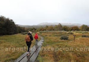 Sentier Paseo de la Isla, parc national Terre de Feu