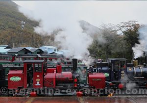 Train Fin del Mundo, parc national Terre de Feu